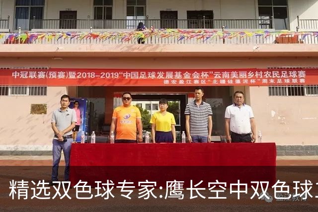 精选双色球专家:鹰长空中双色球146万累擒1788万!